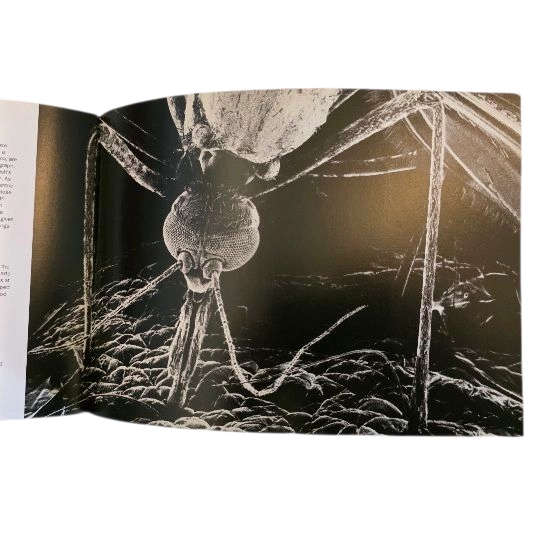 Heaven & Earth: Unseen by the Naked Eye - Phaidon