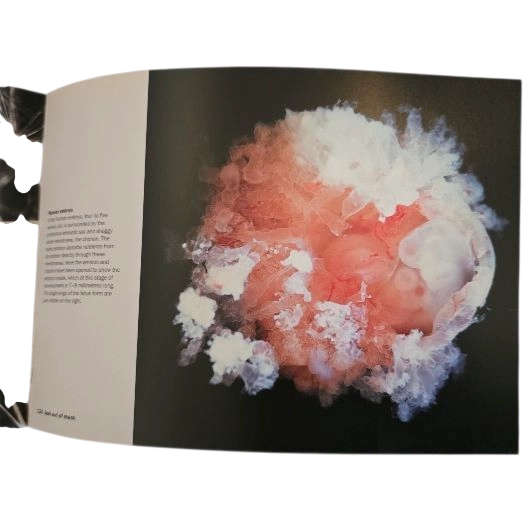 Heaven & Earth: Unseen by the Naked Eye - Phaidon