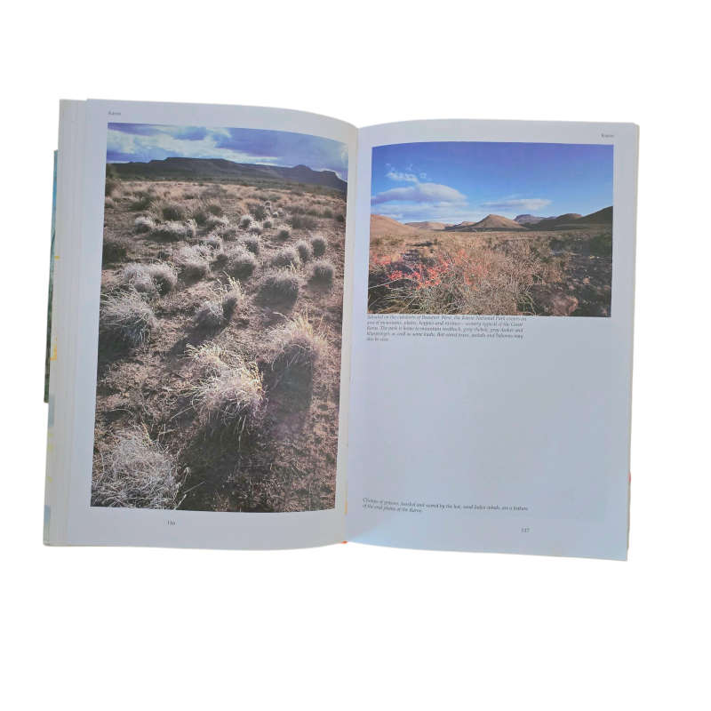 The Best of South African Short Stories: Over Seventy illustrated stories of our land and its peo...
