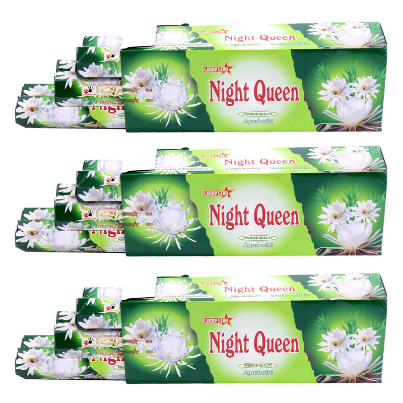 Incense Sticks - Night Queen 9" Premium Quality Agarbatti - 360 Sticks