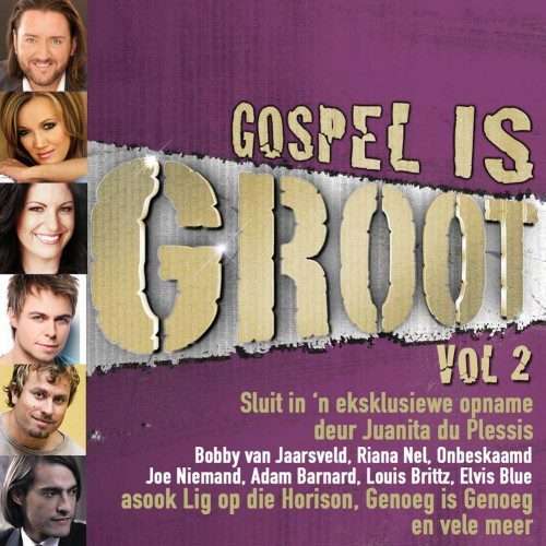 Gospel Is Groot Vol. 2 [CD]