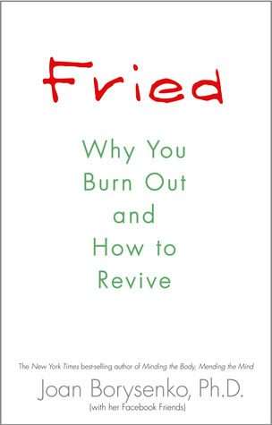 Fried: Why You Burn Out and How to Revive (Paperback)