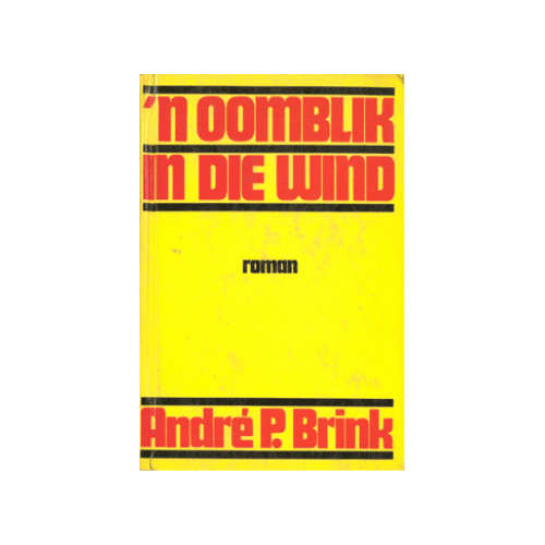 'n Oomblik in die Wind, Roman - Andre P. Brink