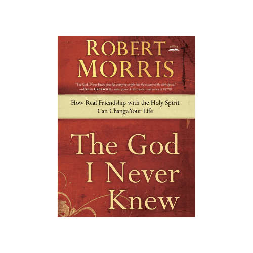 The God I Never Knew Paperback