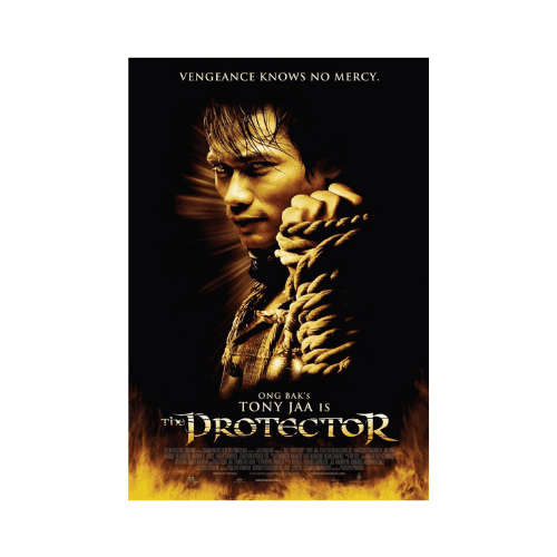 The Protector (DVD)