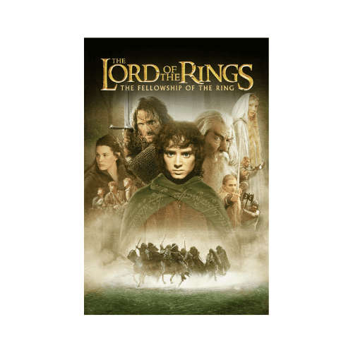 The Lord Of The Rings - The Fellowship Of The Ring DVD (Brand New/Sealed)