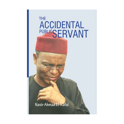 The Accidental Public Servant (Hardcover)