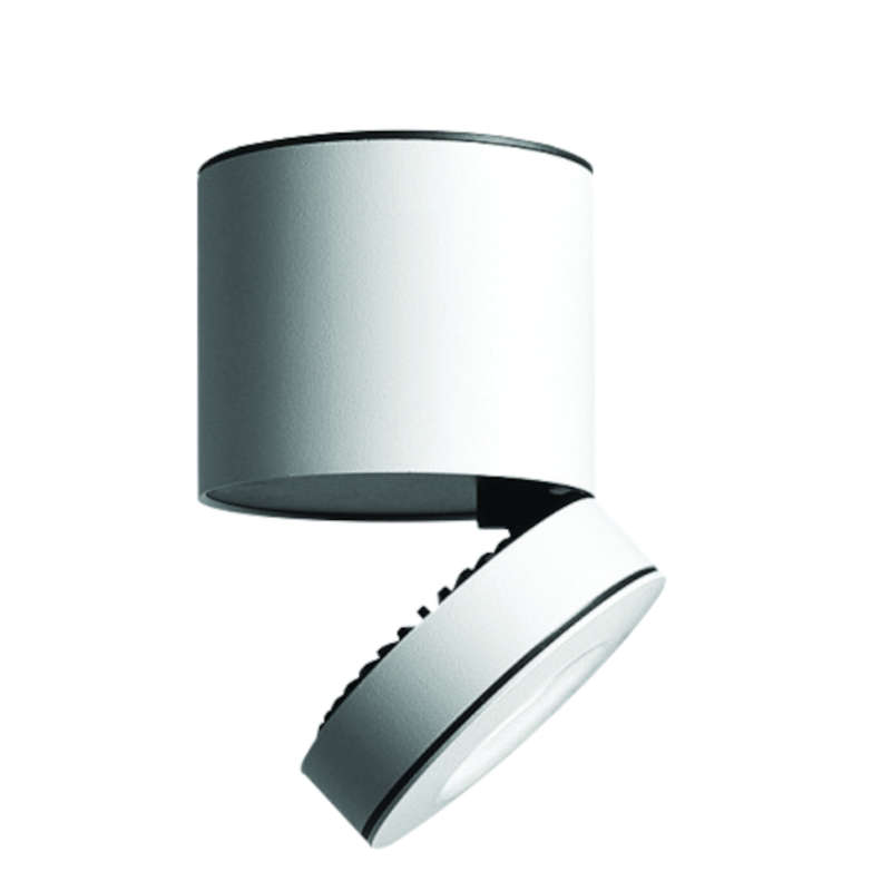Modern Ceiling Spotlight 10W White CW
