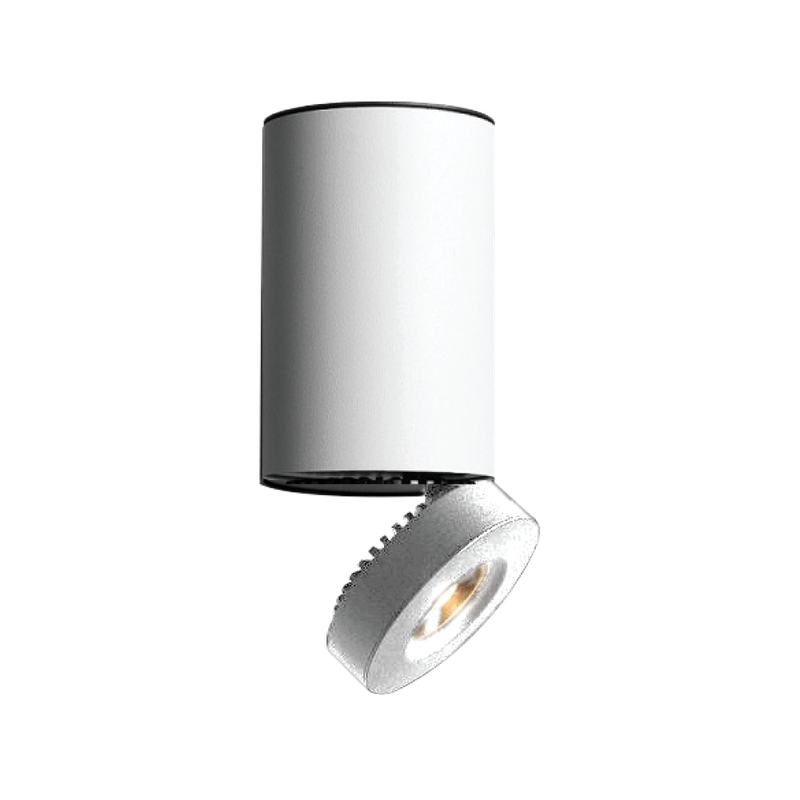 Modern Ceiling Spotlight 10W Black DL