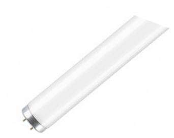 38mm T12 Fluorescent Lamp 75W 8Ft Cool White 4000K