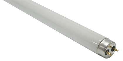 26mm T8 Fluorescent Lamp 58W 5Ft Sky White8000K