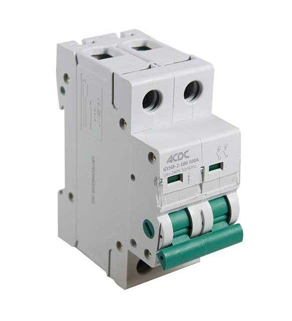 Isolator 2 Pole 100A