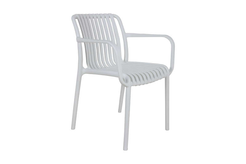 Florence Café Chair With Armrest-Black Colour
