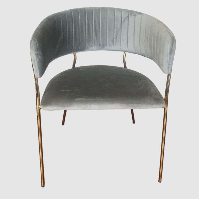 Leisure Velvet Chair In Grey With Stainless Steel Legs