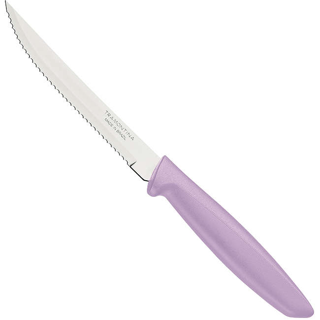 Plenus Steak Knife, 13cm