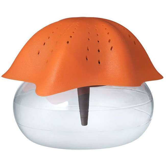 Starfish Air Purifier