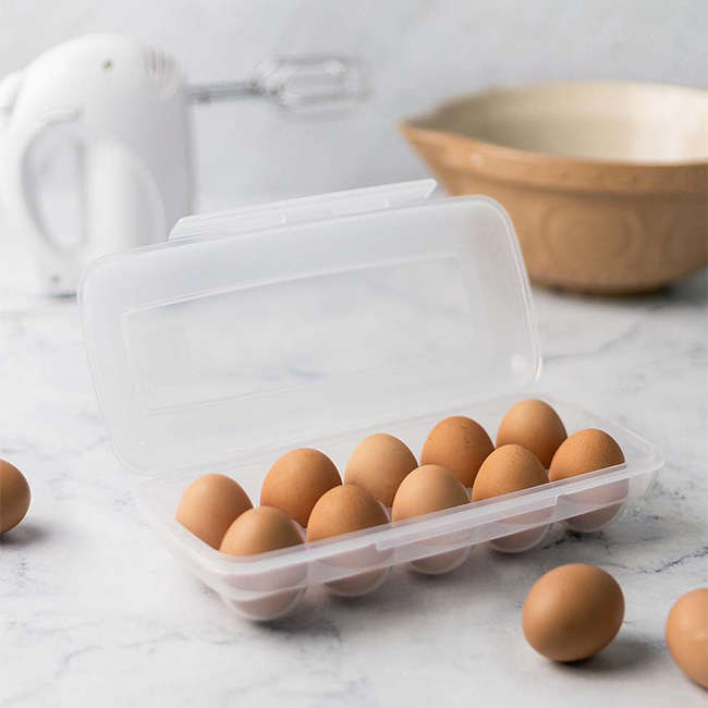 Egg Container
