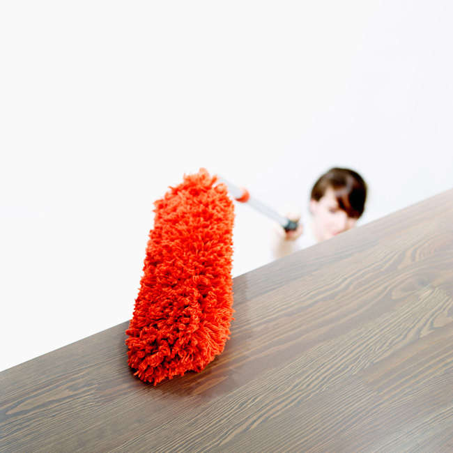 Good Grips Extendable Microfibre Duster