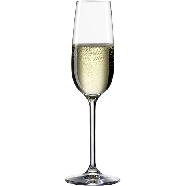 Clara 190ml Champagne Glasses, Set Of 6