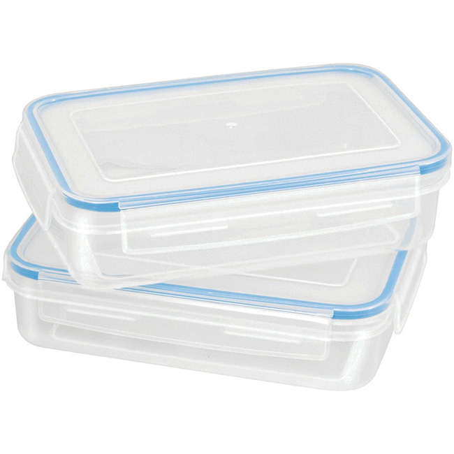 Set Of 2 Rectangular Storage Containers