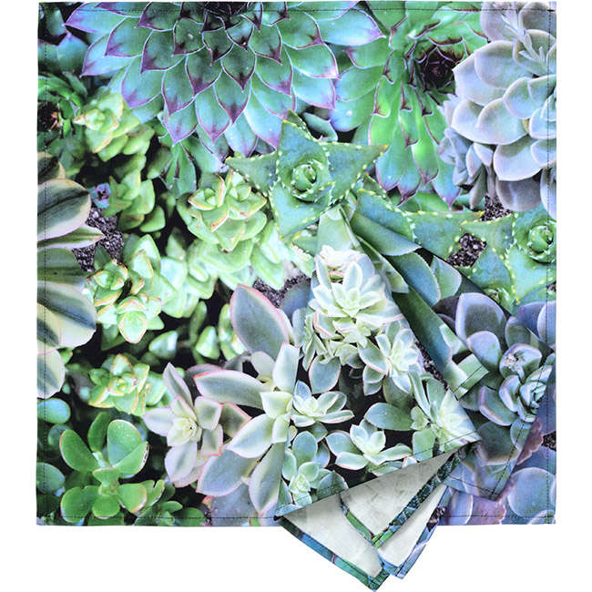 Botanica Succulent Blue Napkins, Set of 6