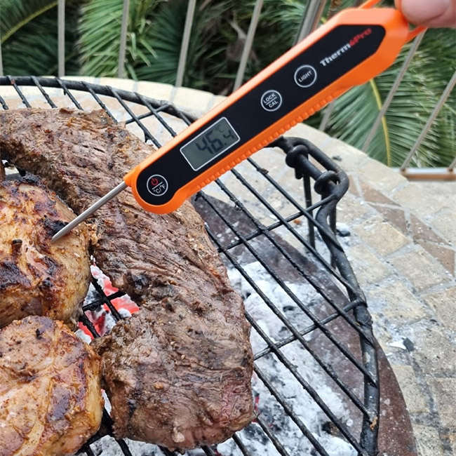 Instant Read Swivel Probe Thermometer