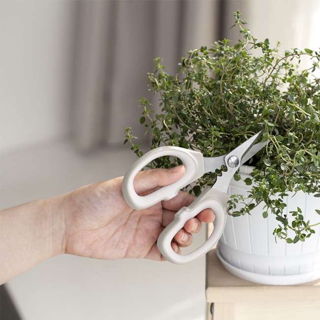 Small Multipurpose Kitchen Scissors