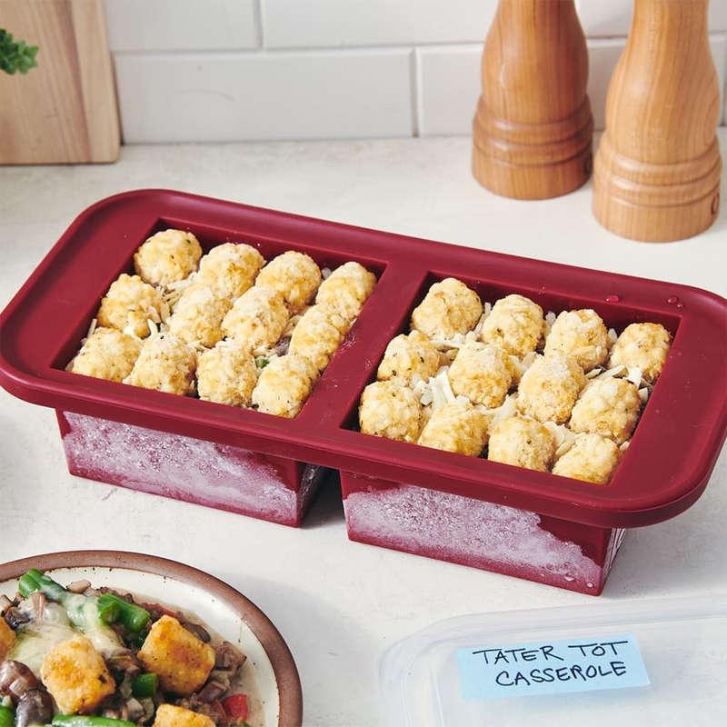 2 Cup Silicone Food Storage Tray With Lid
