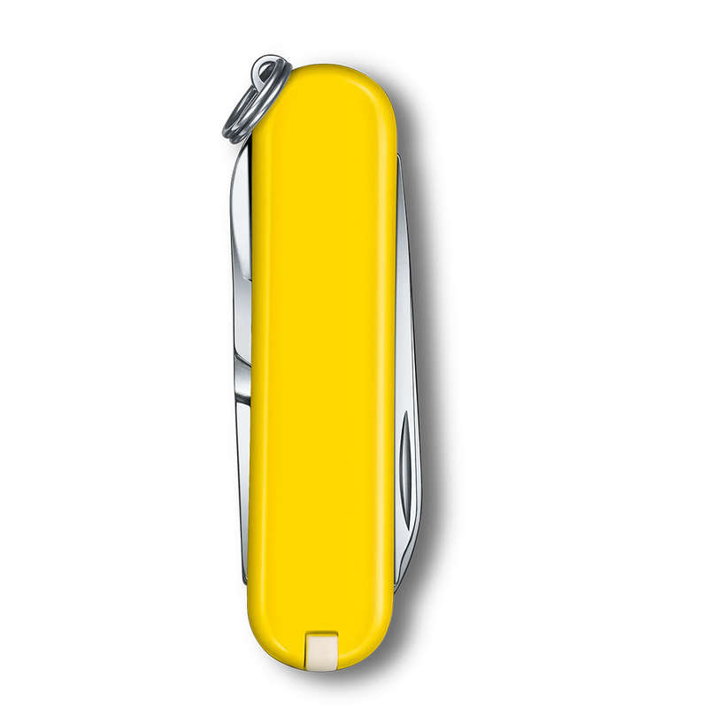 Classic Colours SD Classic Pocket Knife