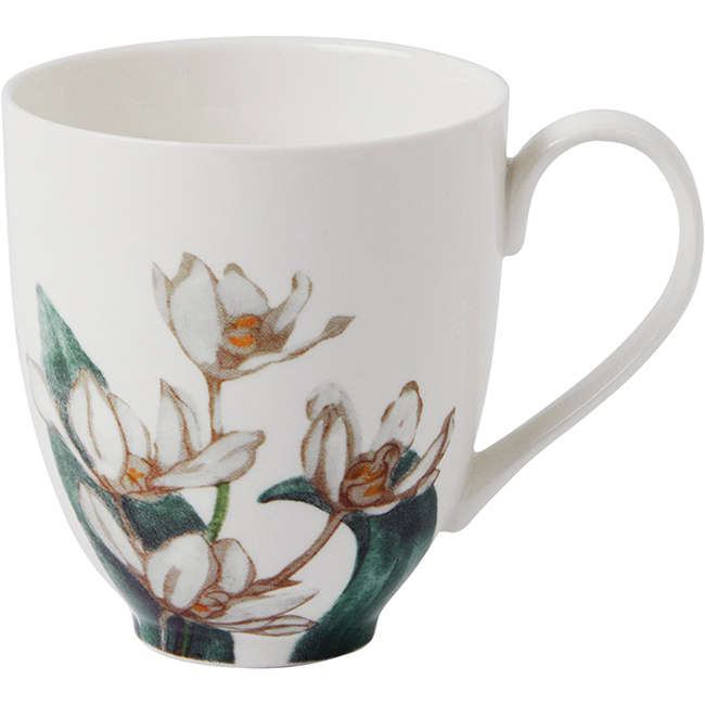 Royal Botanic Gardens Australian Orchids Mug