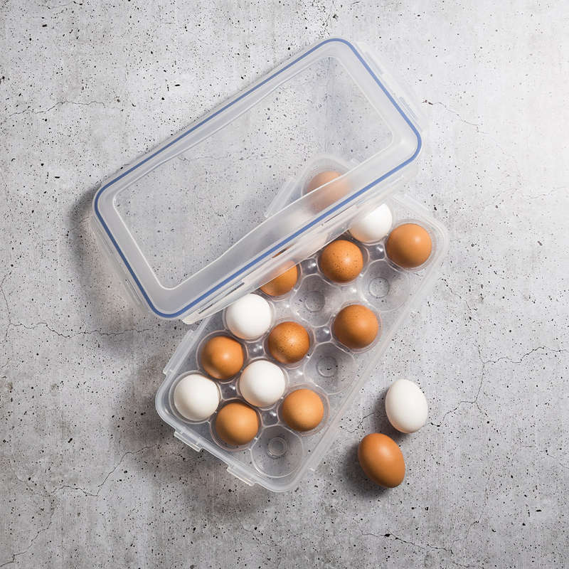 18 Egg Storage Container