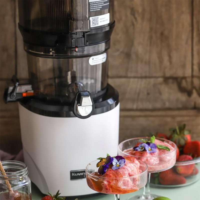 Auto10 Cold Press Juicer
