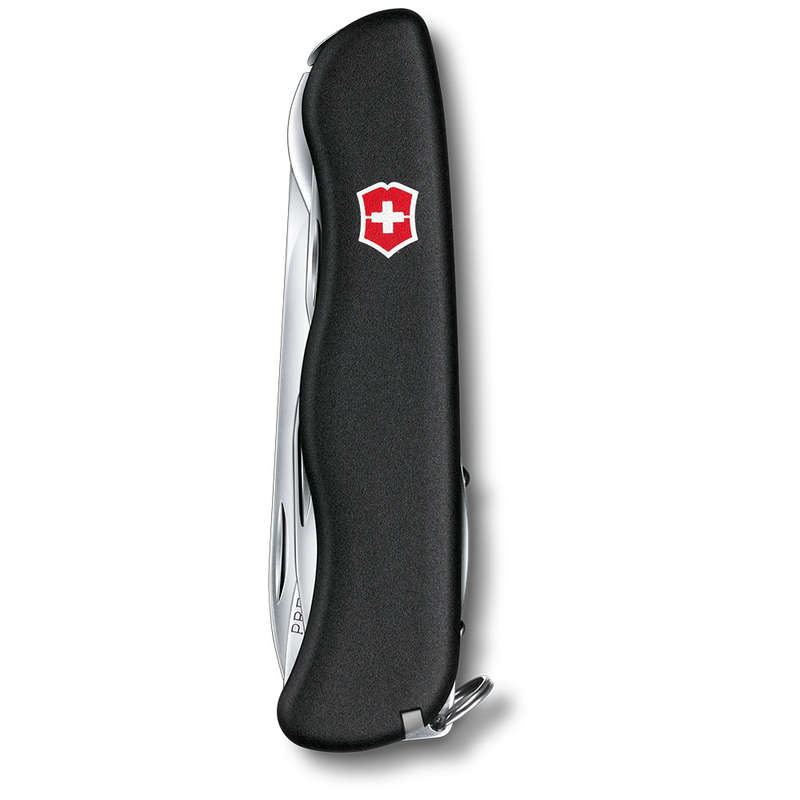 Picknicker Large Pocket Knife