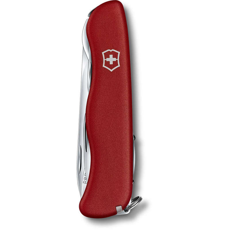 Picknicker Large Pocket Knife