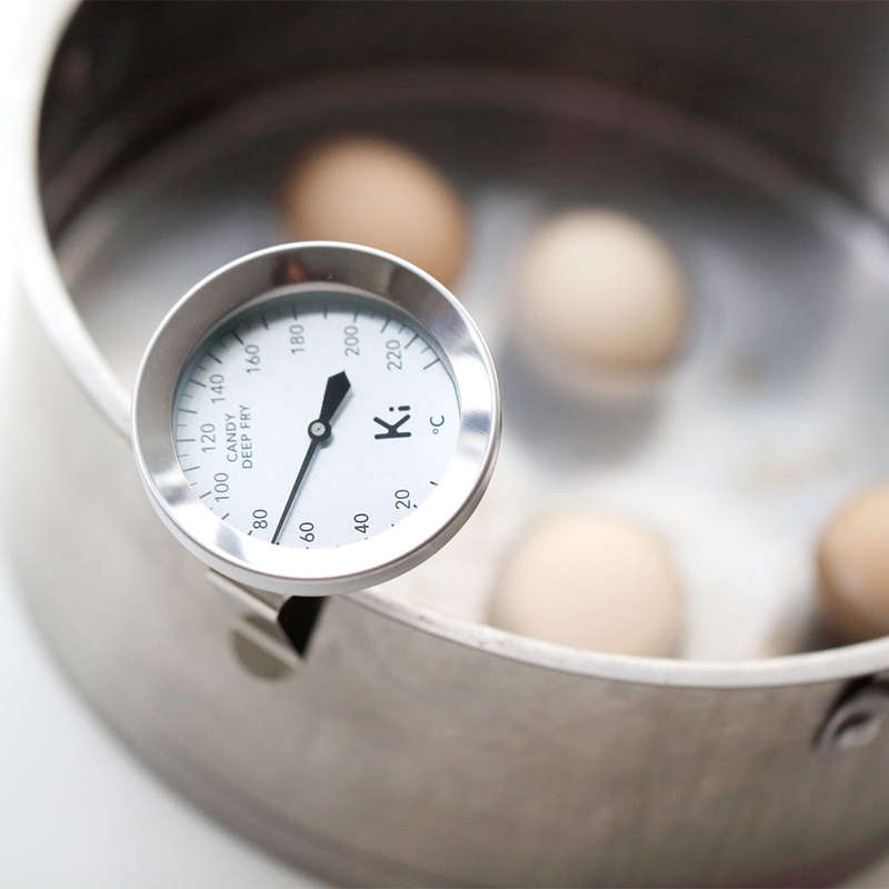 Candy & Meat Thermometer