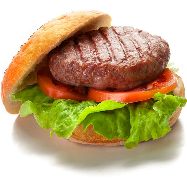 Kitchen Aids Aluminium Burger Patty Press