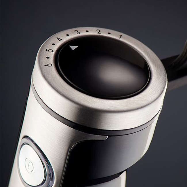 Royal Stainless Steel Stick Blender