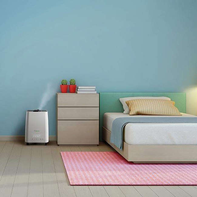Deluxe 202 Humidifier & Air Purifier