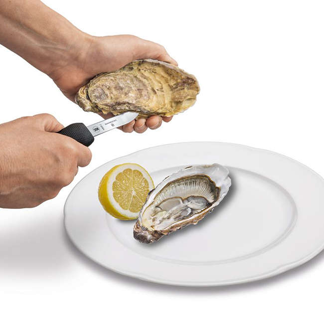 Oyster Knife