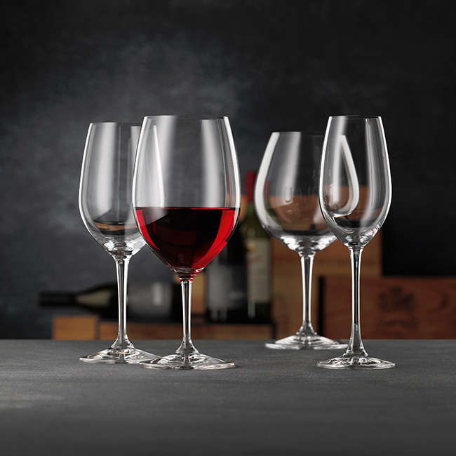 ViVino Champagne Glasses, Set Of 4