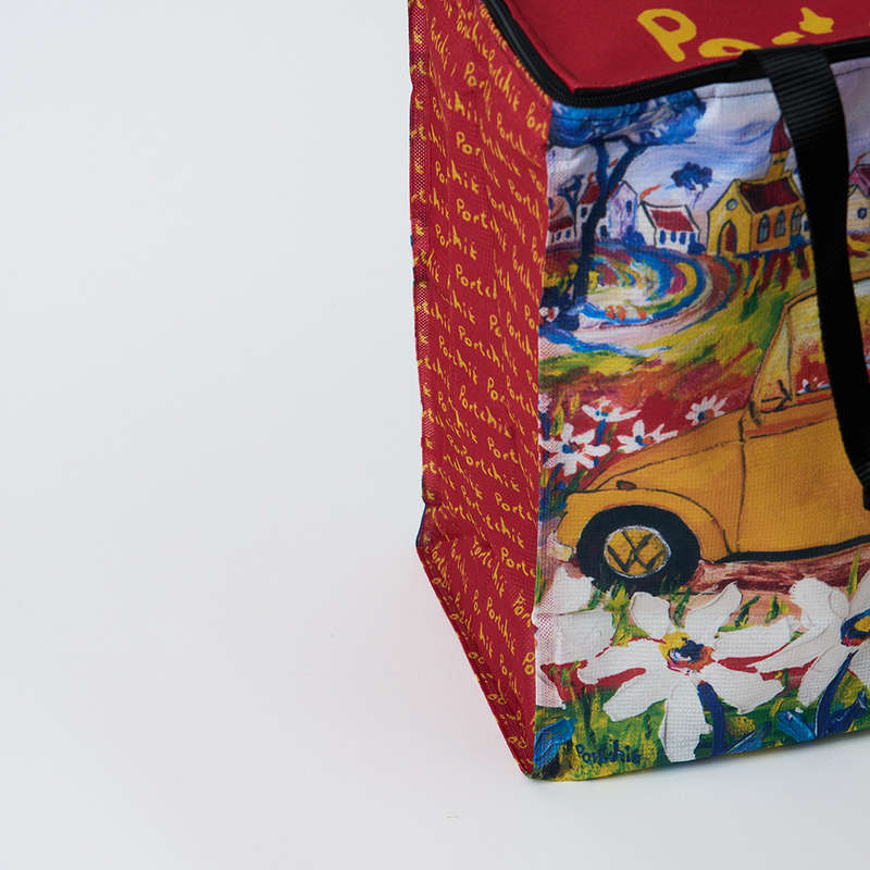 Cooler Bag