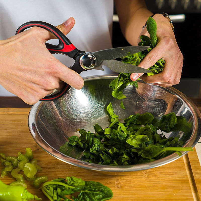 Multi-Purpose Kitchen Scissors