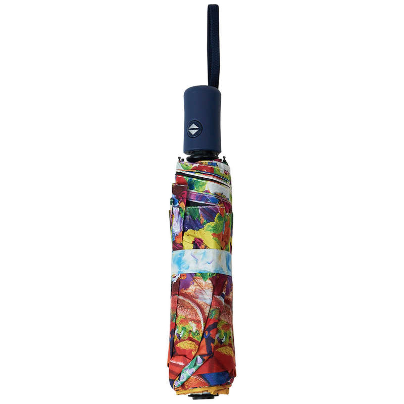 Folding Umbrella