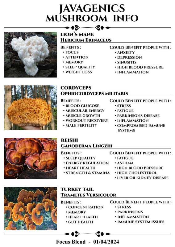 Mushroom Info A4 Image For Webbie