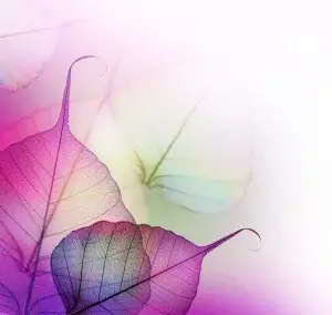 Beautiful