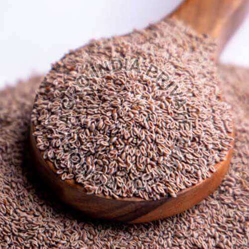 Psyllium Seeds (Colon Cleanse)