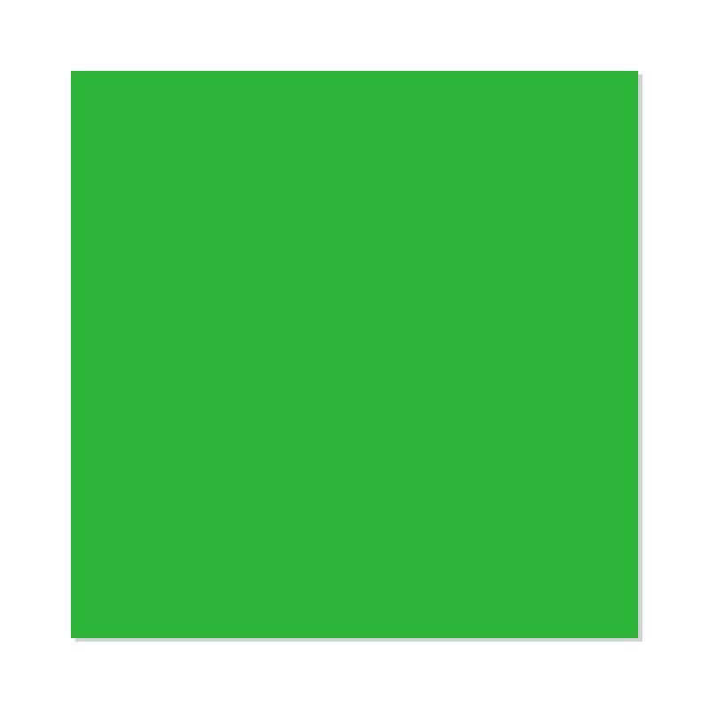 Light Green - HTV - Classic PU