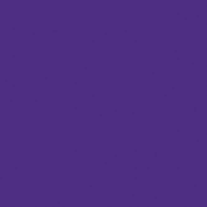 Purple - HTV - Classic PU