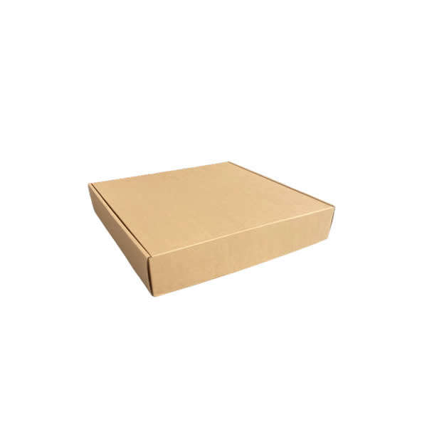 Shipper Box Craft (Medium)