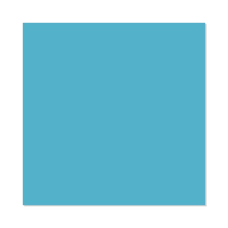 Sky Blue - HTV - Classic PU